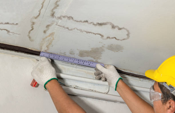 Reliable Sewage Cleanup contractor in Springfield, MA by Water Damage Irwin